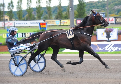 imagealkollen