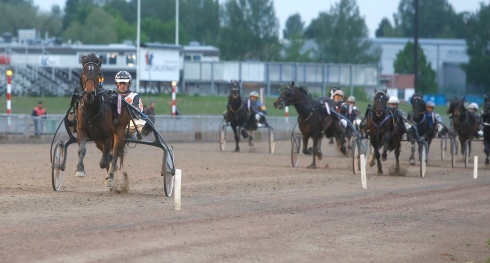 lannem silje