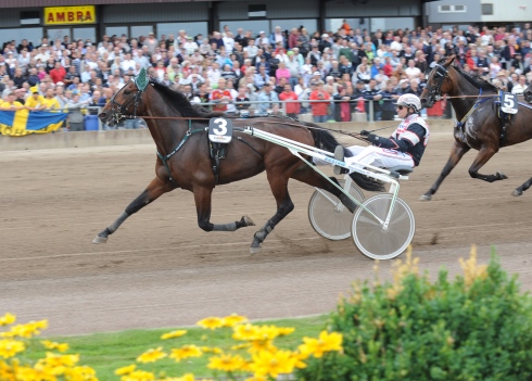 noras bean giganten