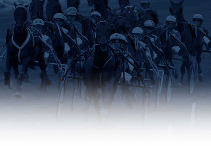 atg play lopparkivet