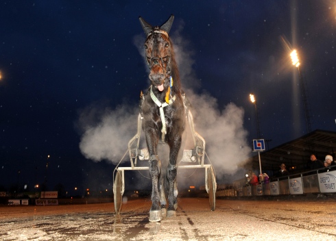 elithast comeack solvalla
