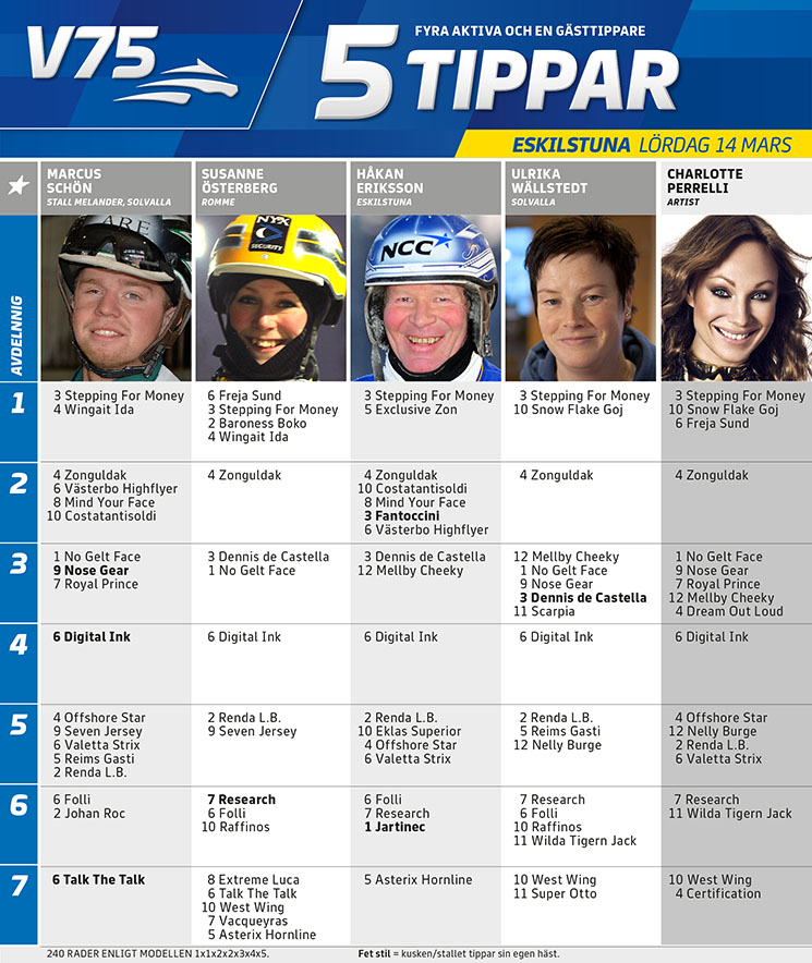 fem-tippar-v75-sundbyholm-eskilstuna.jpg