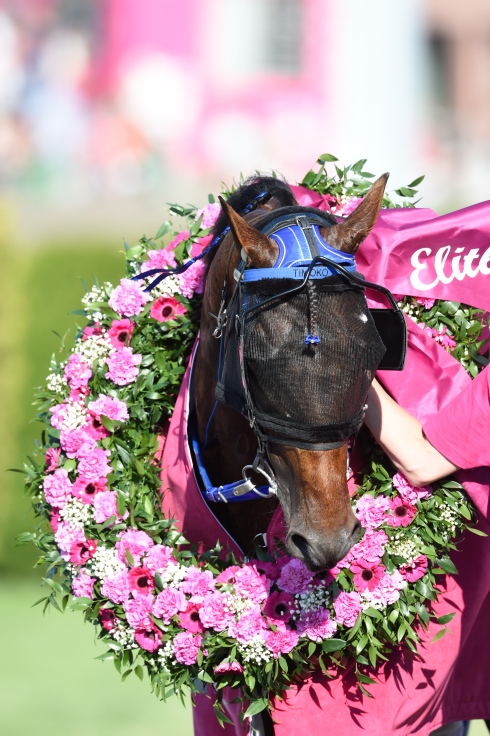 atg högre odds elitloppet