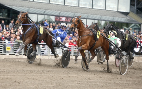 goop kuskmatchen