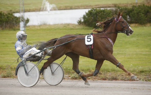 v75 eliten 2015