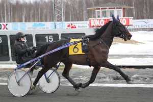 11822624_1209275459086355_1640275403287001305_n