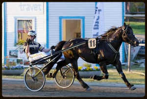 bkpam2134597_f28e781e6831406087ca8bf6e74dfc2d