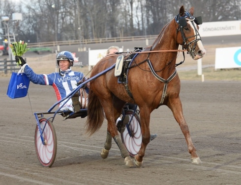 eftersnack kalmar 2016