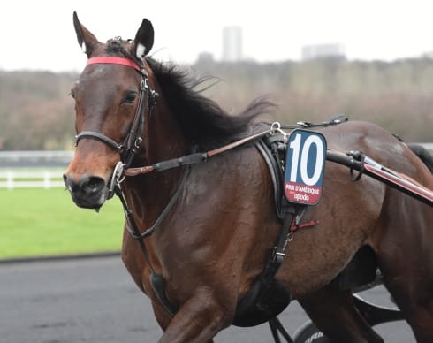 bold eagle vann igen
