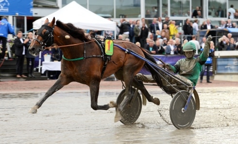 fransk seger 2016