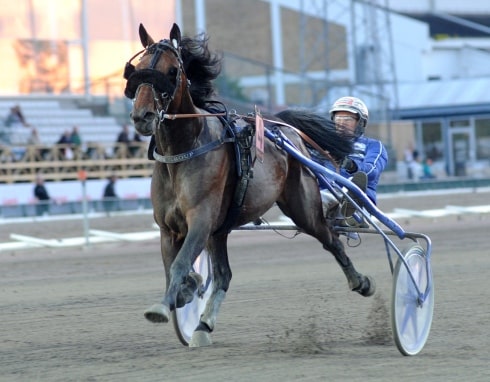 lördagsloppet