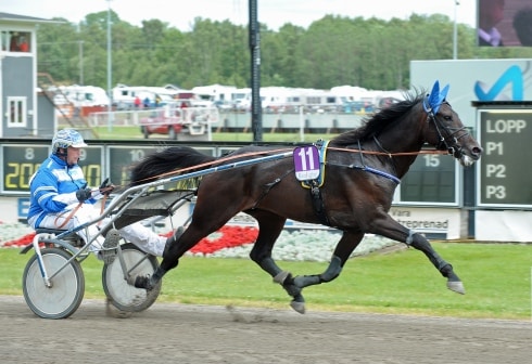malmqvist