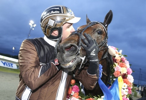 prix d amerique