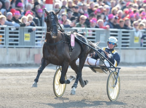 nuncio struken