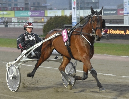 rikshästen