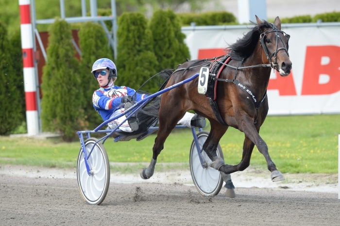 snabb finska lösningen