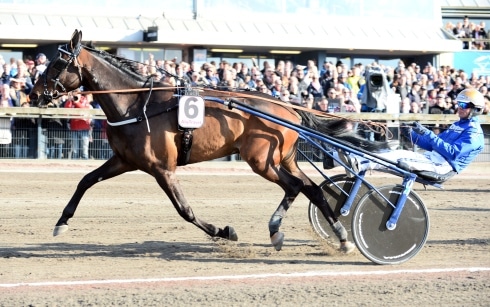 Tjacko Zaz och Campbell i Elitloppet 2017
