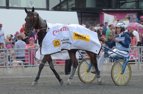 jättetalangen Waffle Cone
