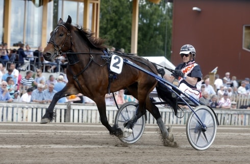 Elitkampen på Solvalla som ett av säsongens mål