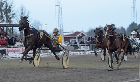 Han brukar kallas ”Världens bästa dalahäst”