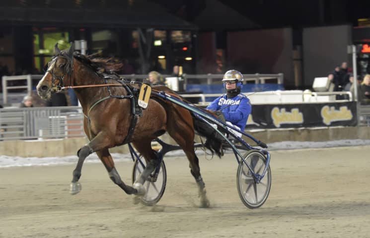 Solvalla-tränaren ångar på