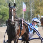 Inför V75: Brioni tillbaka på V75-scenen imagebrajoni