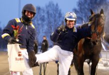 Goop kör i Prix d'Amerique imageduo