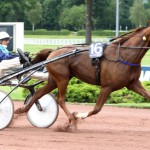 Inför PdA: Roxane Griff utmanar hingstarna imageroxane