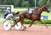 Inför PdA: Roxane Griff utmanar hingstarna imageroxane