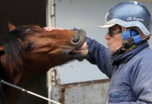 Inför PdA: Severino en utmanare på hugget severino