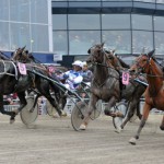 50 hästar med i Premiechansningen imagepremie
