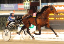 Inför V75: Pånyttfödd talang debuterar i V75 imagetalang