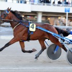 Inför V75: Ett formstall är redo! imagewitis