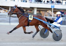 Inför V75: Ett formstall är redo! imagewitis