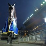 Inför V75: Klartecken från Goop klartecken