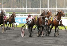 Franska utmanare till Ready Cash readyfrance