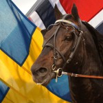 Inför V75: Blågul stjärna i Unionskampen hallsta