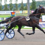 Stjärnkollen: Alvena Pele imagealkollen