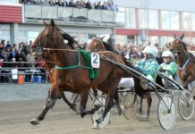 Inför V86: Två hästar i en imagecalvados