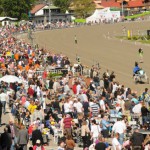 Drömhästen kommer inte till Elitloppet imageelitl