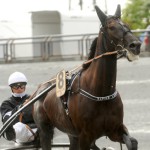 Första hästen klar för Elitloppet rap