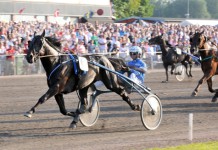Inför V75: Femåriga stjärnor på G femariga