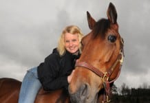 Inför V75: Vägen mot Elitloppet fortsätter goldborkume