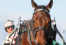 Inför V75: Mot ledningen i Olympiatravet imageledningen