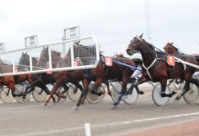 Inför V75: Raka spåret mot sju rätt rakasparet