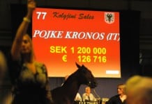 Inför V86: Walmanns Pojke talang