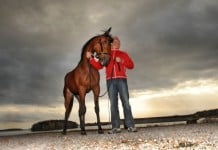 Inför V75: Stoeliten istället för Elitloppet wal