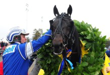 Inför V75: Östersund istället för Elitloppet istallet
