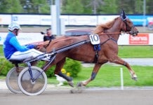 Inför V86: Dags för Snygg-Jenny? snygg