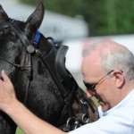 Inför V75: Hallsta Lotus dansar barfota igen barfota
